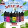 Bangsawan Salt Nic 30 ml.