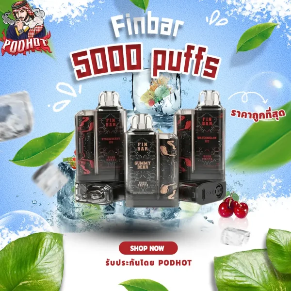 Finbar 5000 Puffs