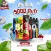 KS Quik 5000 Puffs