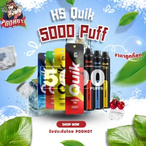 KS Quik 5000 Puffs