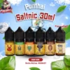 Punthai Saltnic 30ml