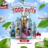 Randm Tornado 7000 puffs