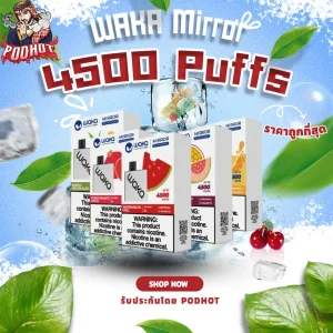 WAKA Mirror 4500 Puffs