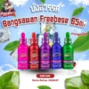 บังสวรรค์ Bangsawan Freebase 65ml